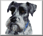 photo cross stitch Yager