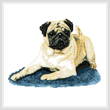 cross stitch pattern Puggley