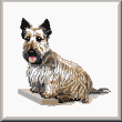 cross stitch pattern Scottish Terrier