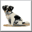 cross stitch pattern Tiny (Papillion)