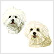 cross stitch pattern Maltese twins