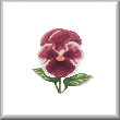 cross stitch pattern Pansy