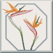 Cross stitch pattern Bird of paradise