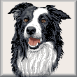 cross stitch pattern Border Collie