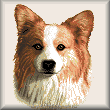 cross stitch pattern Corgie