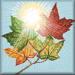 cross stitch pattern Maple Sky