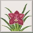 cross stitch pattern Orchid