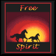 cross stitch pattern Free Spirit