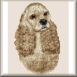 cross stitch pattern Jaz - American Cocker Spaniel