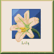 Cross stitch pattern Frobom