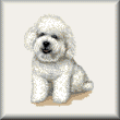 cross stitch pattern Brutus - Bischon Frise