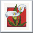 cross stitch pattern Calla Lilies