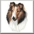 cross stitch pattern Collie