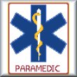 cross stitch pattern Paramedic Star of Life