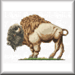 cross stitch pattern Buffalo