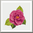 cross stitch pattern Camellia