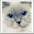 cross stitch pattern Buttons (himalayan)